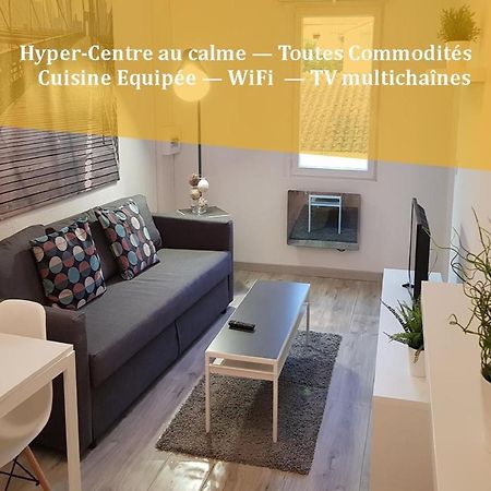 Appartement "Gabrielle" Au Calme En Hypercentre De Revel Revel  Zewnętrze zdjęcie